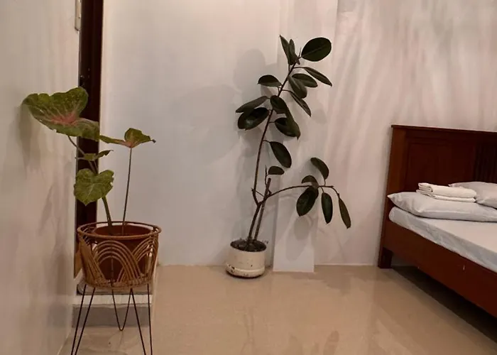 Babe Maison Transient House